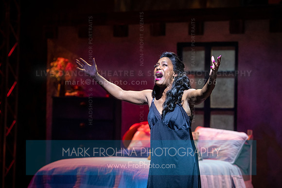 Skylight Mamma Mia Highlights-103
