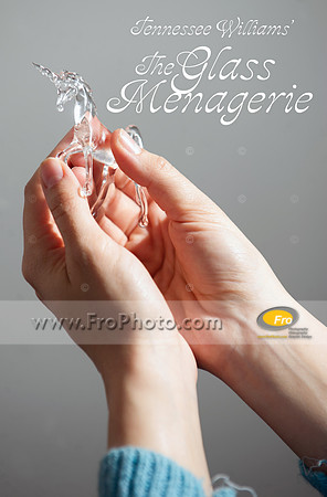In Tandem Glass 11