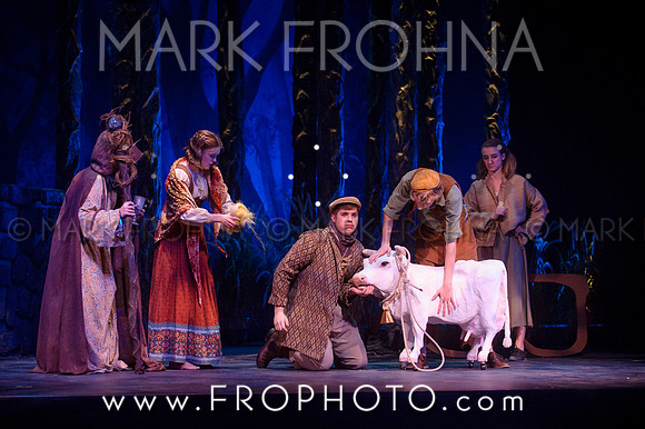 VAHS Into the Woods Highlights-49