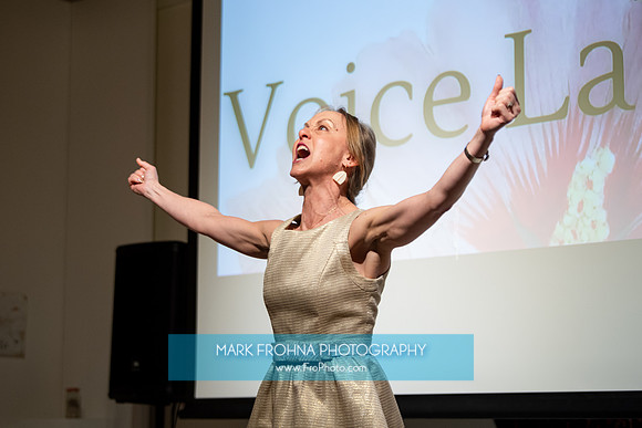 MOT Voice Lab 100-99
