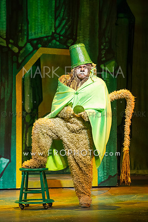 Skylight Wizard of Oz Selects-39