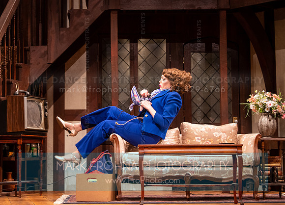 Skylight Noises Off Act 1 Highlights-157
