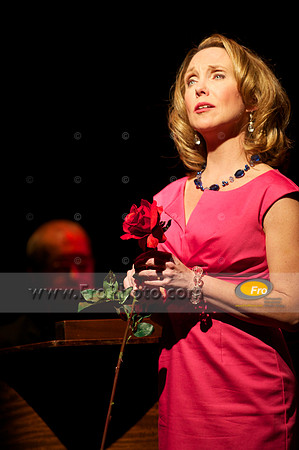 Skylight Ingenue 065