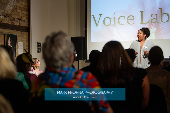 MOT Voice Lab 100-87