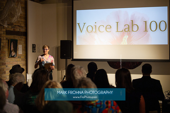 MOT Voice Lab 100-50