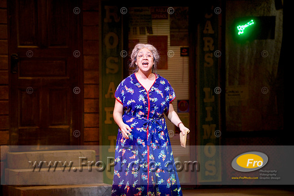 Skylight In the Heights Preview 065