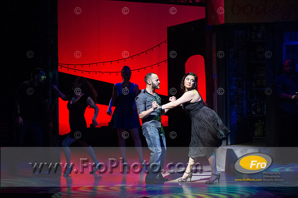 Skylight In the Heights Preview-89