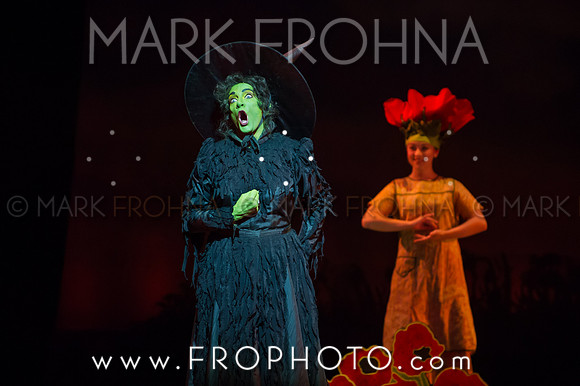 Skylight Wizard of Oz Selects-103