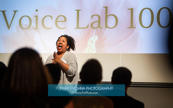MOT Voice Lab 100-89