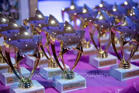Brio Awards Banquet 2024-3