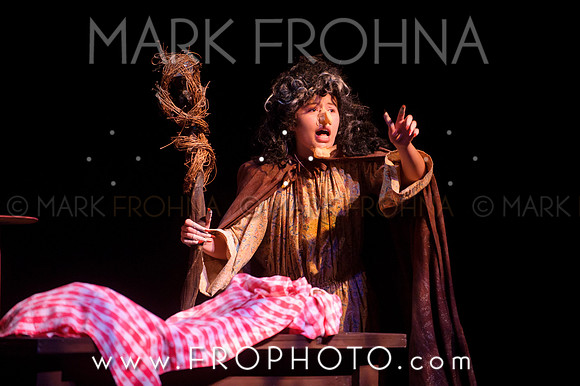 VAHS Into the Woods Highlights-17