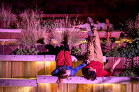 Wild Space Dance InSite Cycles-7