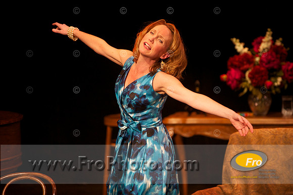 Skylight Ingenue 003
