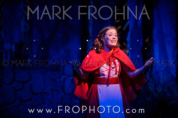 VAHS Into the Woods Highlights-31