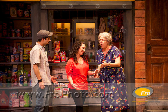Skylight In the Heights Preview 016