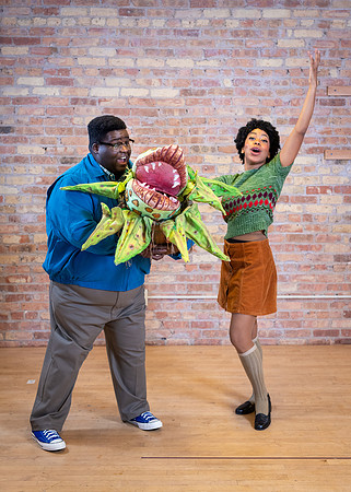 Skylight Little Shop Promos 2021-39