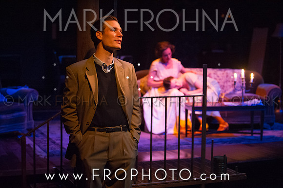 In Tandem Glass Menagerie-149