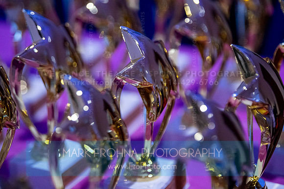 Brio Awards Banquet 2024-5