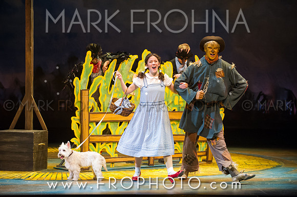 Skylight Wizard of Oz Selects-97