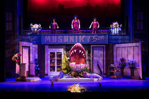 Skylight Little Shop 2021-81