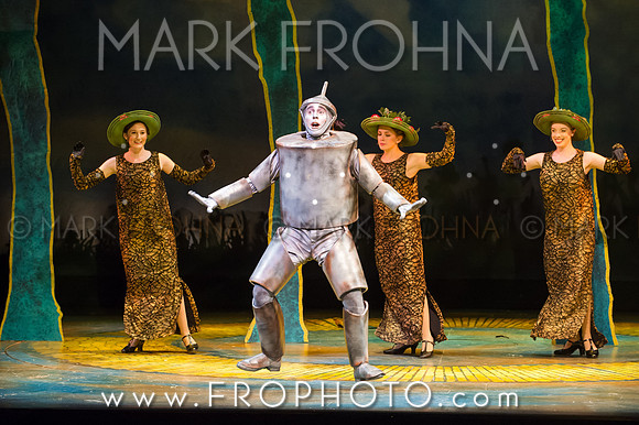 Skylight Wizard of Oz Selects-98