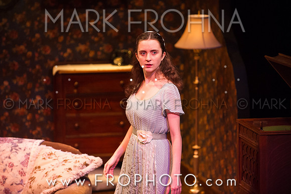 In Tandem Glass Menagerie-85