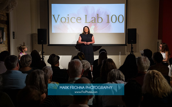 MOT Voice Lab 100-74