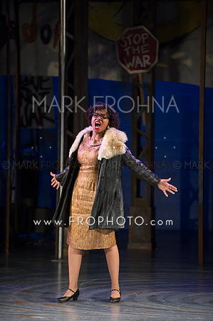 Skylight HSM 2014-135