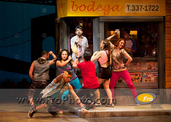 Skylight In the Heights Preview 007
