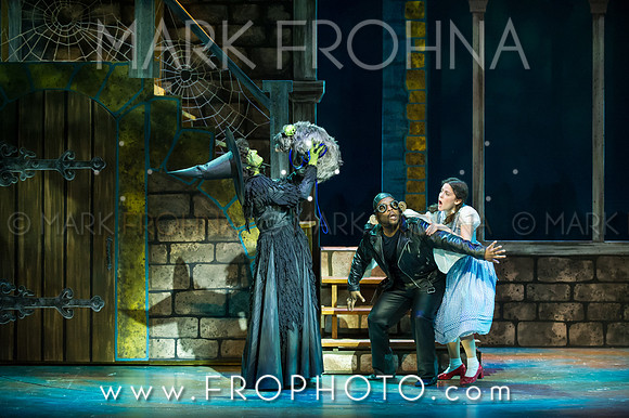 Skylight Wizard of Oz Selects-58