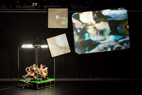 UWM Winterdances 2015 Projections-4