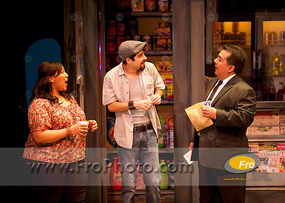 Skylight In the Heights Preview 006