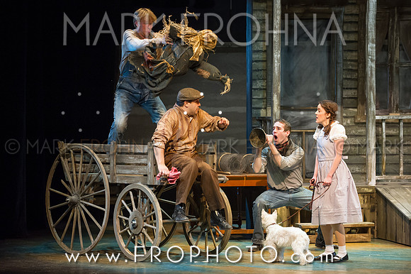Skylight Wizard of Oz Selects-79