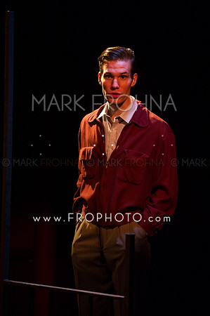 In Tandem Glass Menagerie-27