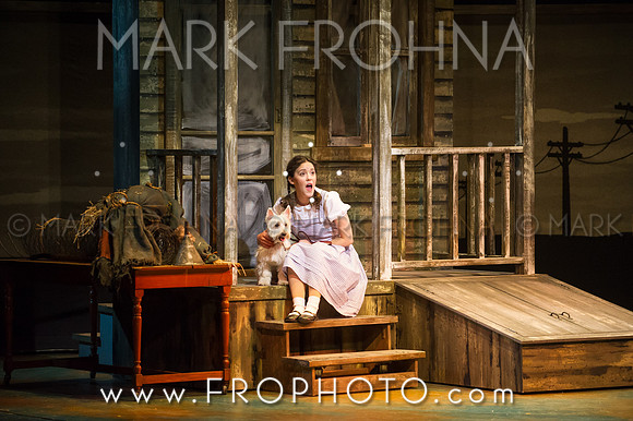 Skylight Wizard of Oz Selects-80