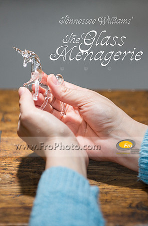 In Tandem Glass 13