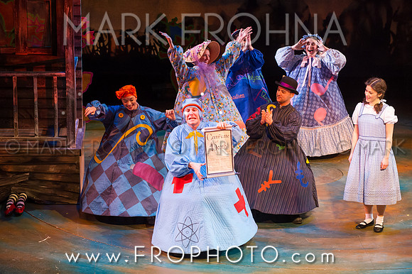 Skylight Wizard of Oz Selects-88