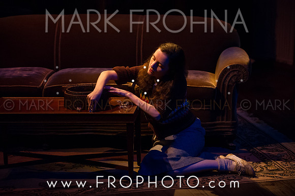 In Tandem Glass Menagerie-13