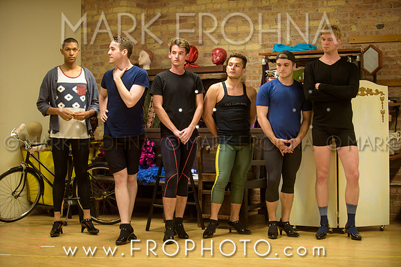 Skylight La Cage Designer Run-18