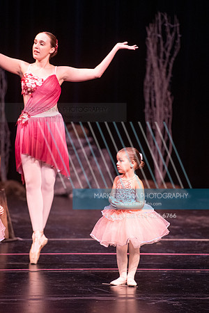 BRIO La Bayadere-117