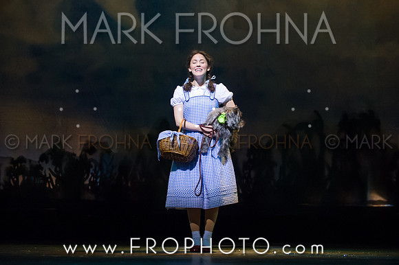 Skylight Wizard of Oz Selects-75