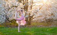 Holly Z Magnolias 2025-15