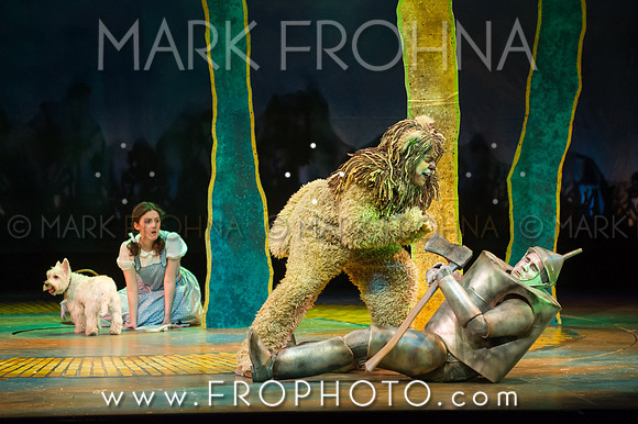 Skylight Wizard of Oz Selects-100