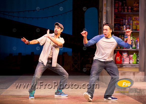 Skylight In the Heights Preview 035