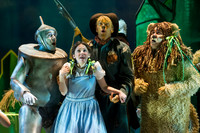 Skylight Wizard of Oz