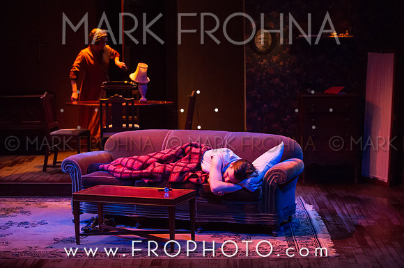 In Tandem Glass Menagerie-52