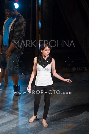 Skylight HSM 2014-119