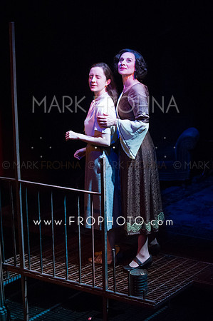 In Tandem Glass Menagerie-76
