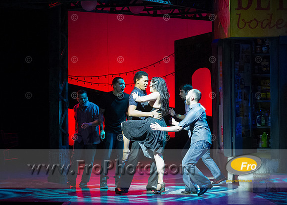 Skylight In the Heights Preview-95