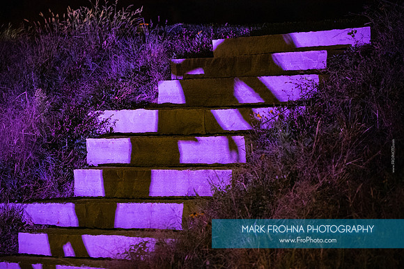 Wild Space Dance InSite Cycles-33